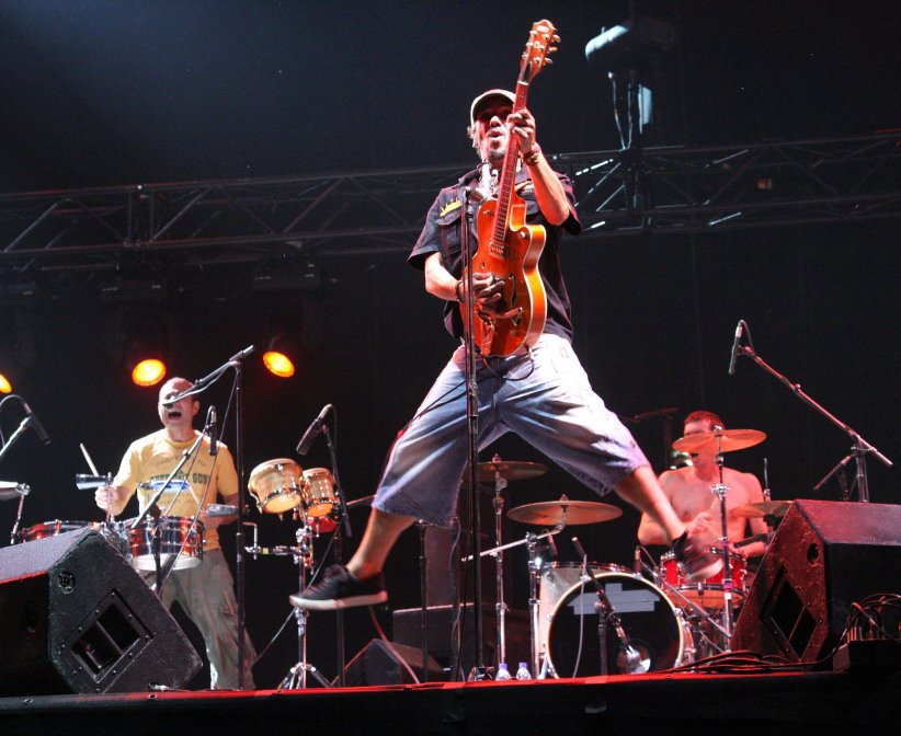 9. Manu Chao 9. Manu Chao
