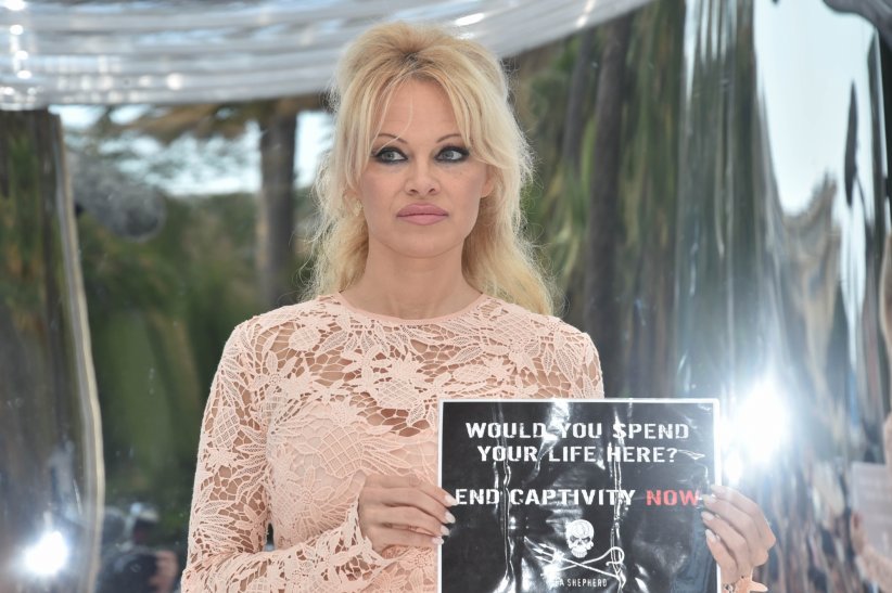 Pamela Anderson dans "Le Lac" de Julien Doré Pamela Anderson dans "Le Lac" de Julien Doré