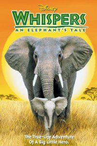 Whispers : An Elephant's Tale