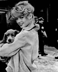 Brigitte Bardot : un documentaire approuvé par l'icône de cinéma se prépare