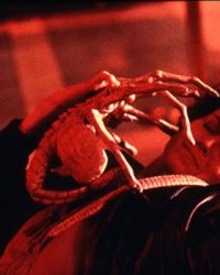 Alien 5 : Neill Blomkamp lui-même n'y croit plus