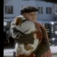 12 chiens pour Noël (TV) - bande annonce - VO - (2005)