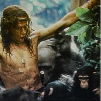 Greystoke, la légende de Tarzan - Bande annonce 1 - VO - (1984)