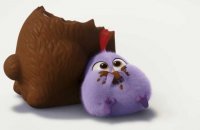 Angry Birds - Le Film - Teaser 14 - VO - (2016)
