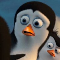 Les Pingouins de Madagascar - Teaser 9 - VF - (2014)