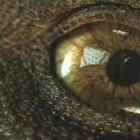 Jurassic World: Fallen Kingdom - Teaser 27 - VF - (2018)