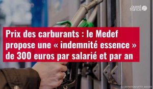 VIDÉO. Prix des carburants : le Medef propose une « indemnité essence » de 300 euros par salarié et par an