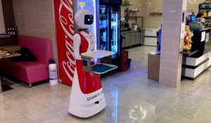 Dans le Boulonnais, Alexa, première serveuse-robot dans la restauration