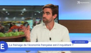 Le freinage de l'économie française est-il inquiétant ?