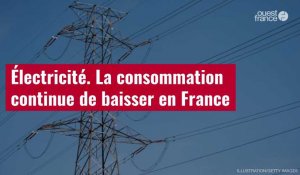 VIDÉO. Électricité : la consommation continue de baisser en France