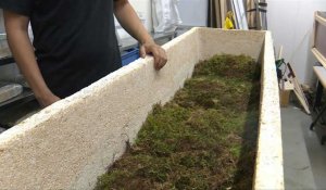 Pays-Bas: un cercueil à base de champignons pour préserver la nature