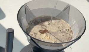 Venu du Panama, le café le plus cher du monde s'invite à Dubaï