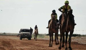 Dans l'arrière-pays australien, des jockeys s'affrontent à dos de dromadaires