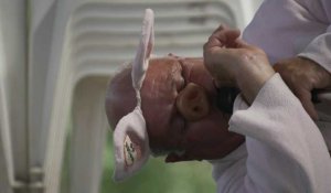 "Gruik ! Gruik !": Trie-sur-Baïse accueille le championnat de cri de cochon