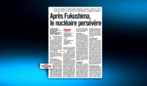 Nucléaire : deux ans après, la peur d'un Fukushima à la française ?