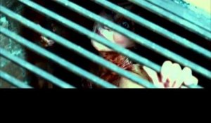 REC 3 Genesis - Bande-Annonce VF (HD)