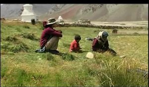 Himalaya, terre des femmes - Bande annonce VF