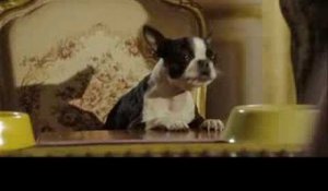 Palace Pour Chiens - bande annonce VF