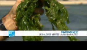 FRANCE 24 Environnement - Algues vertes : à qui la faute ?