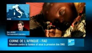Humanitaire : La FAO réclame une aide "massive et urgente" pour la Corne de l'Afrique