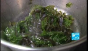 Les algues ou l'art de mettre un autre grain de sel en cuisine