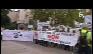 Manifestation contre le tracée de la ligne TGV (Montpellier)