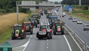 Pourquoi les éleveurs français sont-ils en colère ?