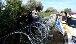 Un nombre record de migrants arrivent en Hongrie