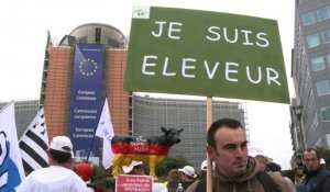 Les agriculteurs européens manifestent à Bruxelles