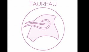 TAUREAU : Il est temps de prendre des contacts et d'effectuer des démarches au travail