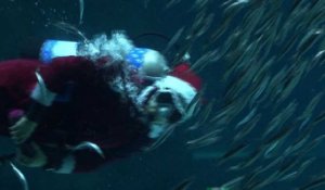 A Séoul, le père Noël fait de la plongée dans un aquarium