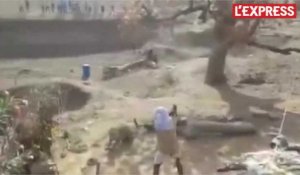 Un léopard sème la panique dans un village et blesse trois personnes
