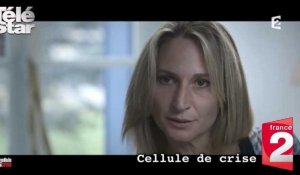 Cellule de crise - Le témoignage émouvant de Ingrid Brinsolaro, la femme du garde du corps de Charb - Dimanche 3 janvier 2016