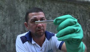 Opérations anti-moustiques à Rio pour lutter contre la dengue