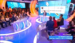 Propos polémiques de Cristina Cordula sur la fourrure : les chroniqueurs de Touche pas à mon poste réagissent