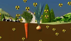 La contamination radioactive