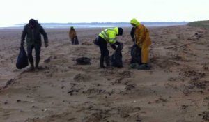 Les conchyliculteurs nettoient la plage 