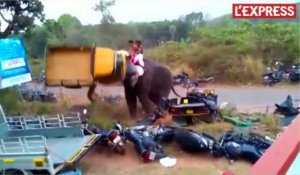 Inde: un éléphant en colère détruit des véhicules
