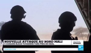 MALI - 5 casques bleus tchadiens tués près de Kidal dans une embuscade d'une violence sans précédent