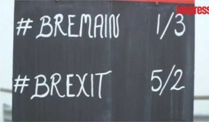 Prédire le résultat du Brexit: ces cochons peuvent le faire