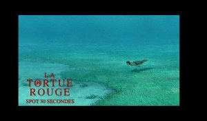 LA TORTUE ROUGE - Spot 30 secondes - Actuellement au cinéma