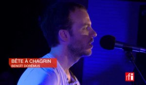 Benoît Dorémus chante "Bête à chagrin" - Libres ensemble RFI-OIF