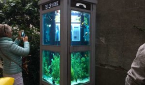 Cabine téléphonique aquarium du Voyage à Nantes