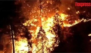États-Unis: impressionnants feux de forêt dans le sud-ouest du pays