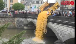 20 000 canards lâchés dans la Sarthe