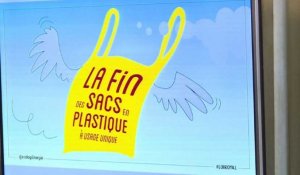 Les sacs plastiques à usage unique bientôt interdits en France
