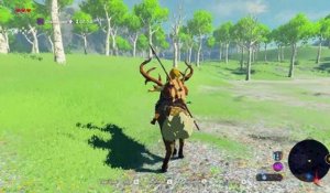 The Legend of Zelda : Breath of the Wild - Domptage de montures