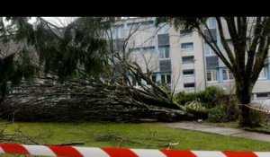 La tempête Zeus balaie l'ouest de la France