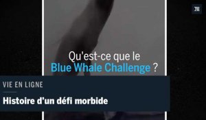 Qu'est-ce que le Blue Whale Challenge ?