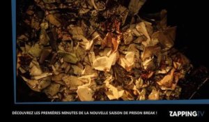 Prison Break : le retour rocambolesque des frères Scofield à l'écran (vidéo)